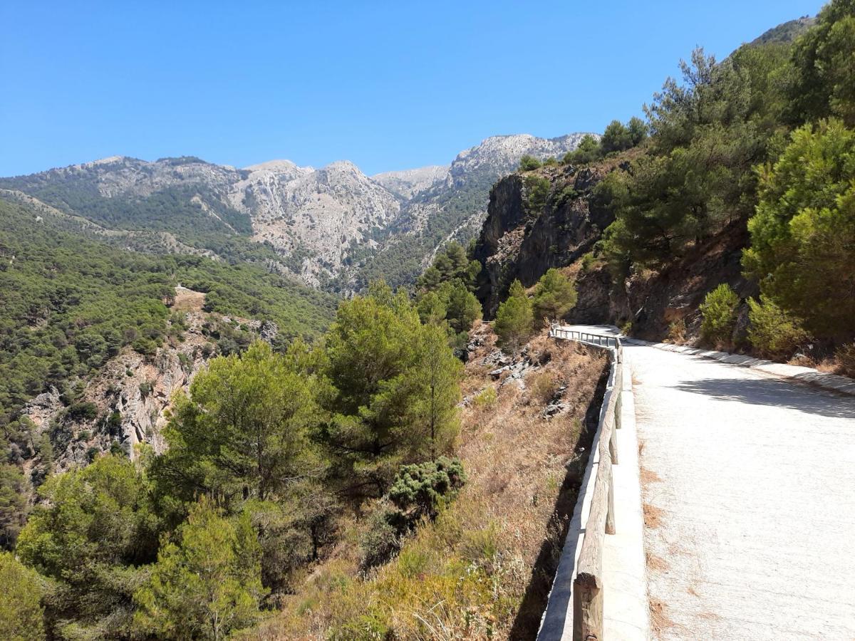 Bed and breakfast Casa Montana Velez-malaga *
